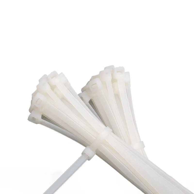 Cable Organizer 100pcs Self-locking Plastic Nylon Cable Tie 3*100mm