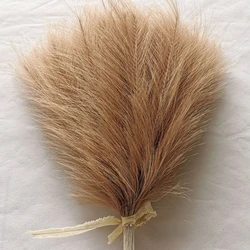 Artificial Pampas Grass Bouquet - Elegant Home and Event Decor 10 - Pack - 10pcs (Light coffee)