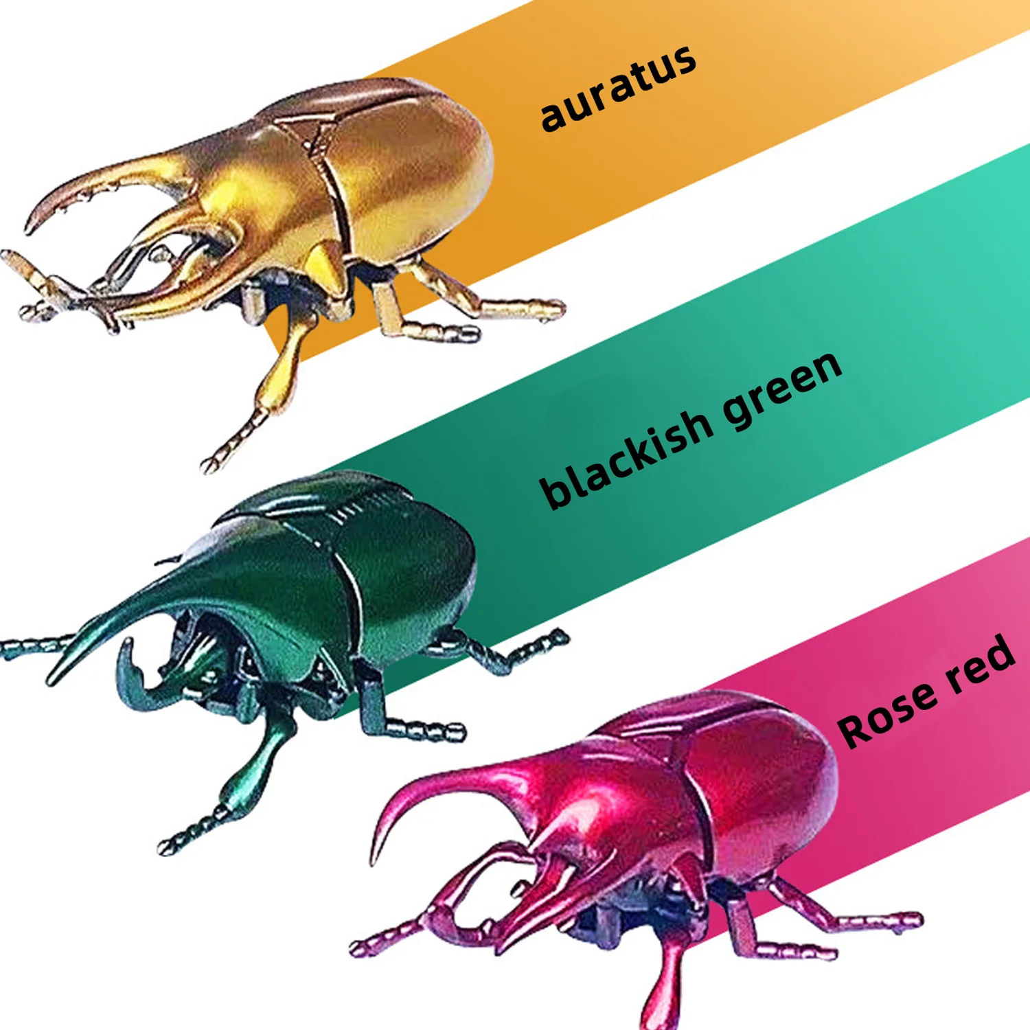 Wind Up Toys - Wind-up Beetle Toys, Simulated Realistic Plastic Beetle, Wind Up Animal Party Favors Toy, Great Gift for Kids 5