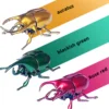 Wind Up Toys - Wind-up Beetle Toys, Simulated Realistic Plastic Beetle, Wind Up Animal Party Favors Toy, Great Gift for Kids 5