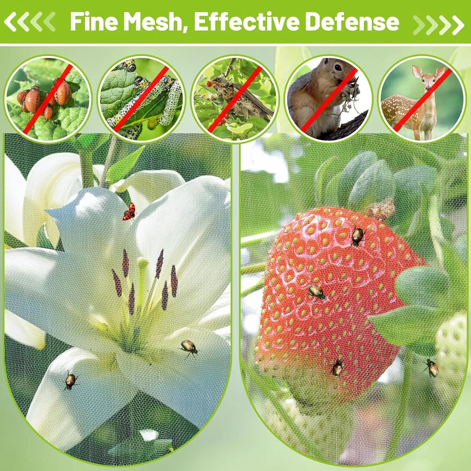 Description Picture 3 of item1PC Garden Insect Protection Net Plant Vegetable Tomato Pepper Fruit Care Cover Bug Greenhouse Pest Control Anti-Bird Insect Net