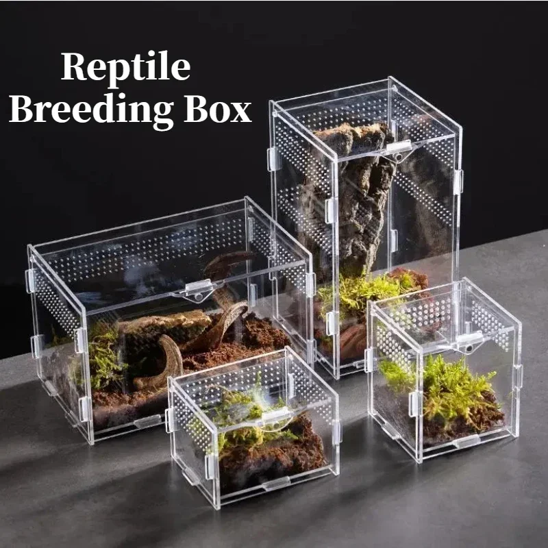 Acrylic Reptile Terrarium Box 1