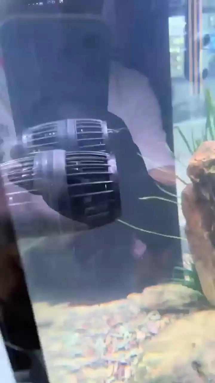 Jebao-jeod-水族館用のワイヤレス多機能ポンプ,DMP-10/20/30/40