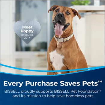 PET Multi-Surface Floor Cleaner 4