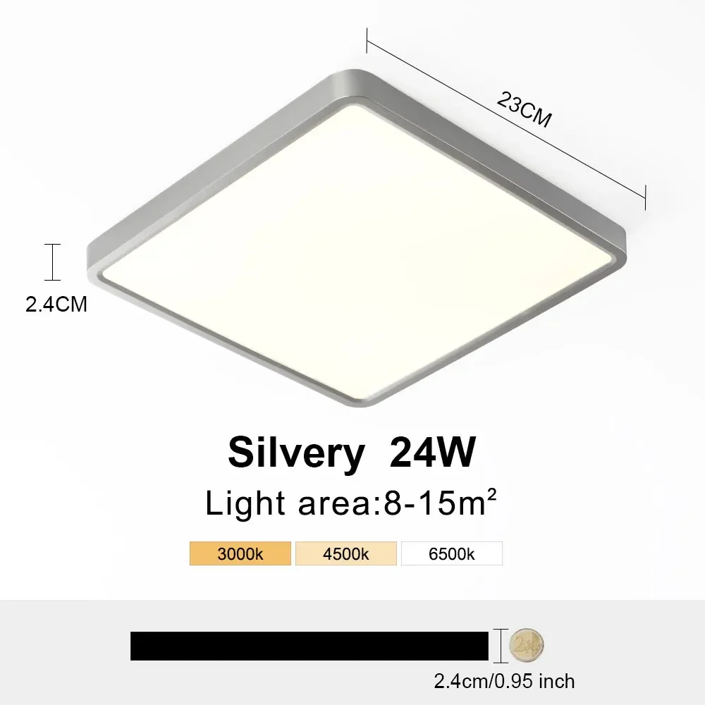 Silver 24W