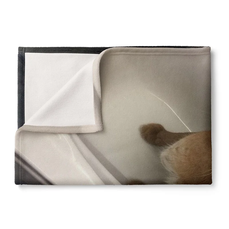 Aertemisi ������ �ִ� �� �÷���, ����ִ� �� �ֿ� ���� ���, ���� ���� ���� �� ������ ������ ���� ������ ���� ħ��