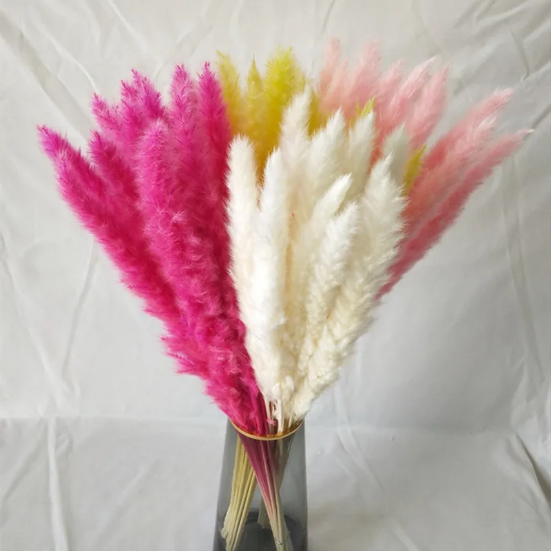 

45cm Pampas Grass Dried Natural Flowers Decoration Pampas Wedding Party Accessories Boho Home Decor Flower Bouquet
