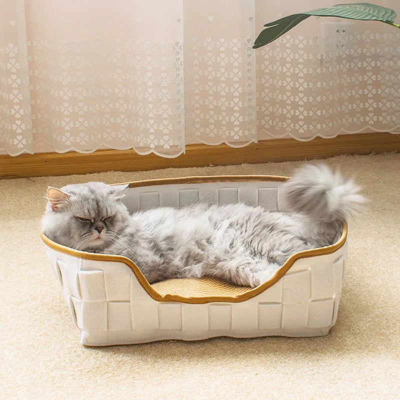 boy cat beds