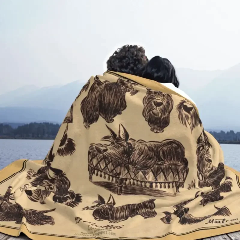 ��Ƽ�� ��īƼ ������ ���, ������ �ö���, ����Ƽ�� �׸���, �ֿ� ���� ������ ���, ħ�� ���� ħ�뺸