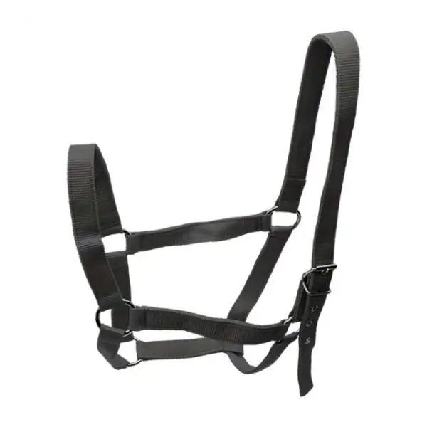 Horse Halter with Padding Durable Rope Training Bridle Adjustable Harness for Farm Grassland and Sports Horse Halter with Padding Durable Rope Training Bridle Adjustable Harness for Farm Grassland and Sports