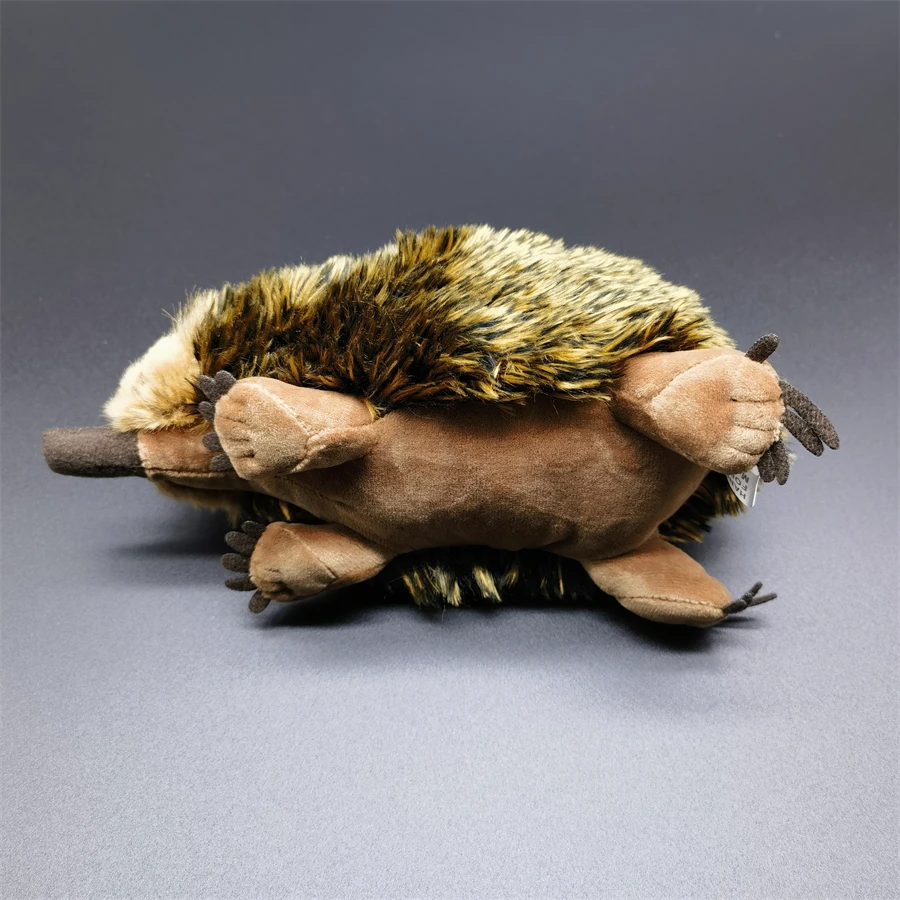 Echidna High Fidelity Anime Cute Mole Plushie Spiny Anteater Plush Toys Lifelike Animals Simulation Stuffed Doll Kawai Toy Gifts 6