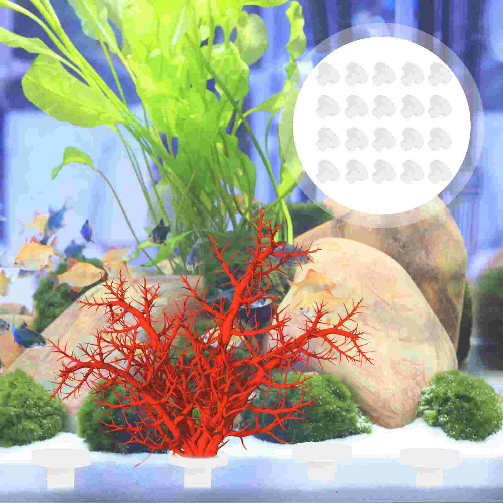 

20 Pcs Coral Base Decor Aquarium Reef Accessories Decoration Fish Tank Marine Plug