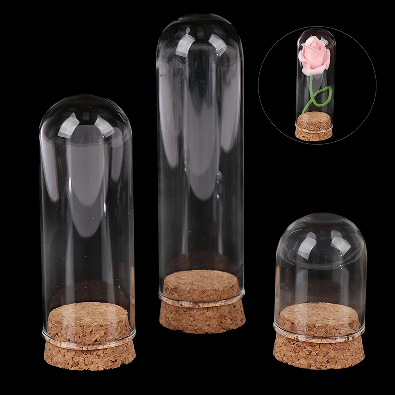 4/6/8/10CM Doll Glass Dome Display Wood Cork Bell Jar With Wooden Base Decoation Craft Table Decoation Craft