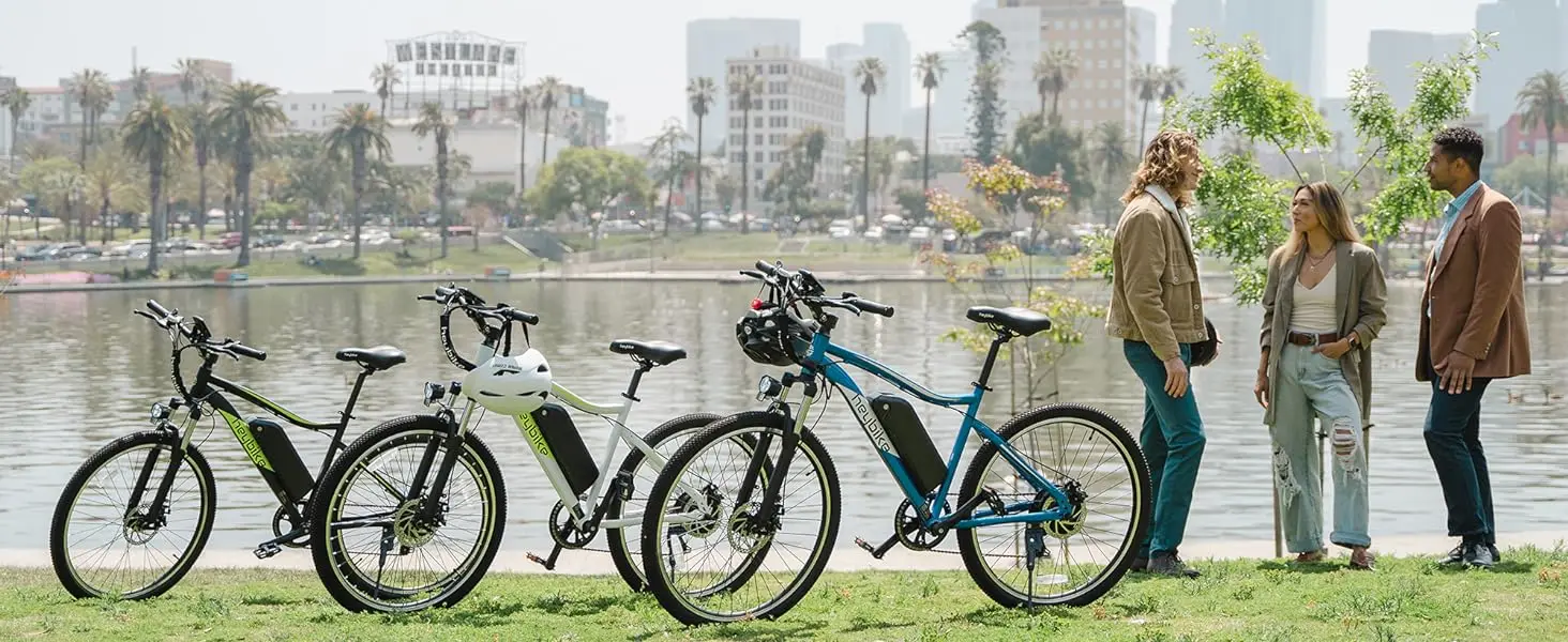Heybike Race Max for adults
