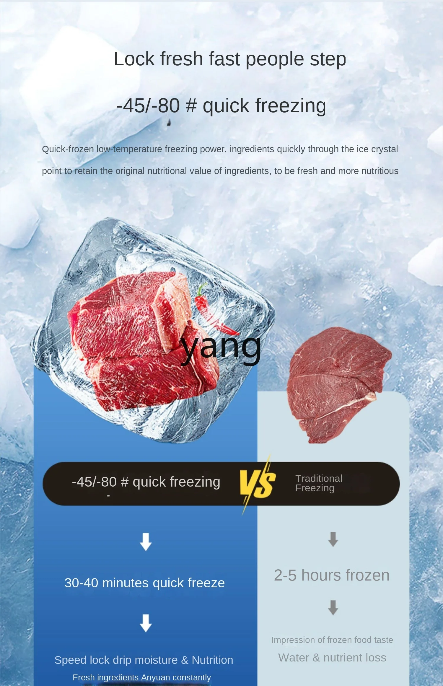 CX Commercial Air-Cooled Four-Door Low-Temperature Freezer Steamed Stuffed Bun Quick-Freezing Plug-in Disc Refrigerator