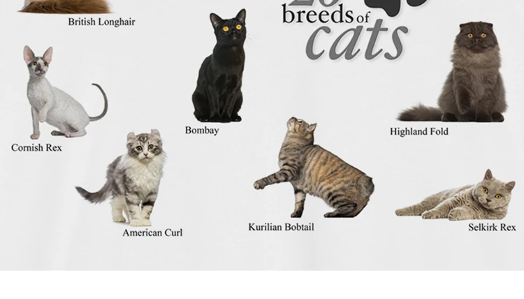 Cat Breeds Collage Graphic T-Shirt S50281a1378a04fc890bb192bef6a81bcf