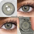 ESTONIA-GRAY