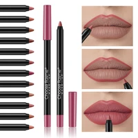 12 pcs Lip Liner Pencil Set Matte Lipliner Pencil Lipstick Waterproof Long Lasting Nude Contour Lipstick Pen Lip Tint Cosmetics 2