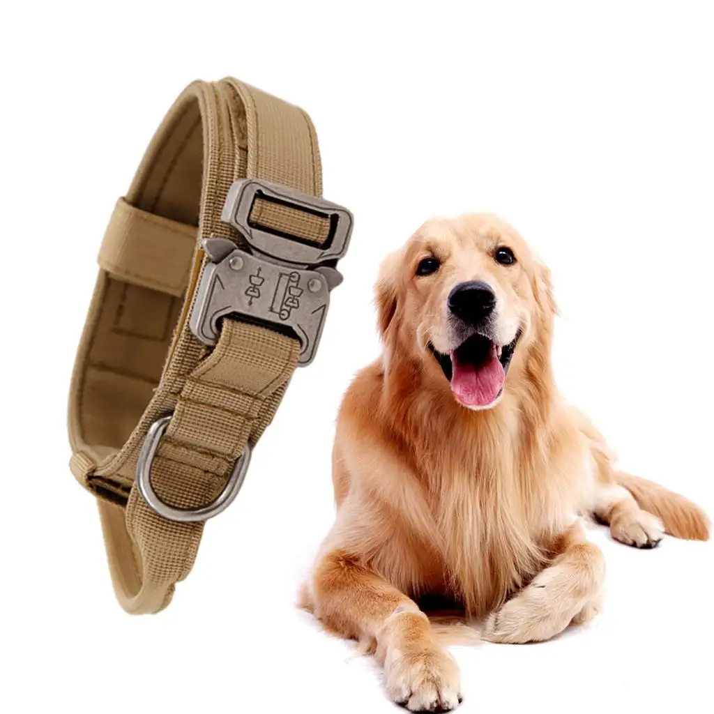 Breathable Nylon Dog Collar Outdoor Training Leash Kit Pet Accessories for Medium and Large Breed Dogs