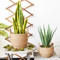 Hand Woven Seagrass Storage Basket Flower Baskets Plant Pot Succulent Organizer For Home Living Room Decorate Landscape Handmade 3