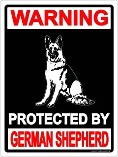 Vintage Metal Sign 'Beware Protected By Dogo Argentino With Attitude' - 12x8 Inch Tin Wall Decor