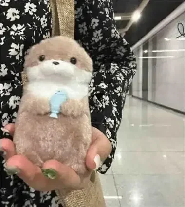2体セット【特賞】カワウソ＊Otterオッター 特大ぬいぐるみ 未使用 Amazon.co.jp: バース・オブ・ライフ 赤ちゃんぬいぐるみ付きの