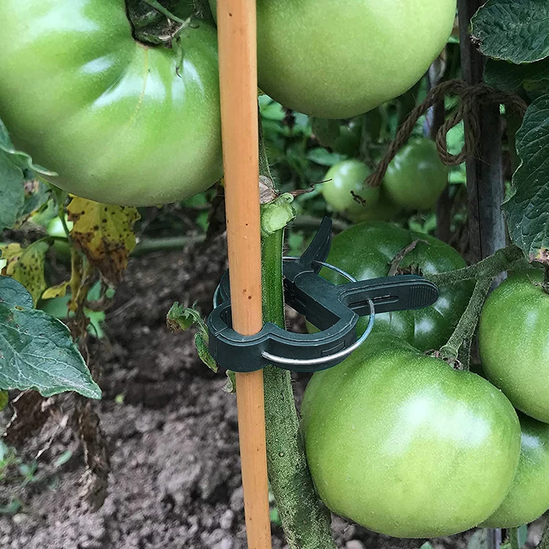 10/20PCS Reusable Plant Fixed Clips Greenhouse Bracket Fastener Clamp For Fixing Vine Flower Vegetables Stems Garden Supplies
