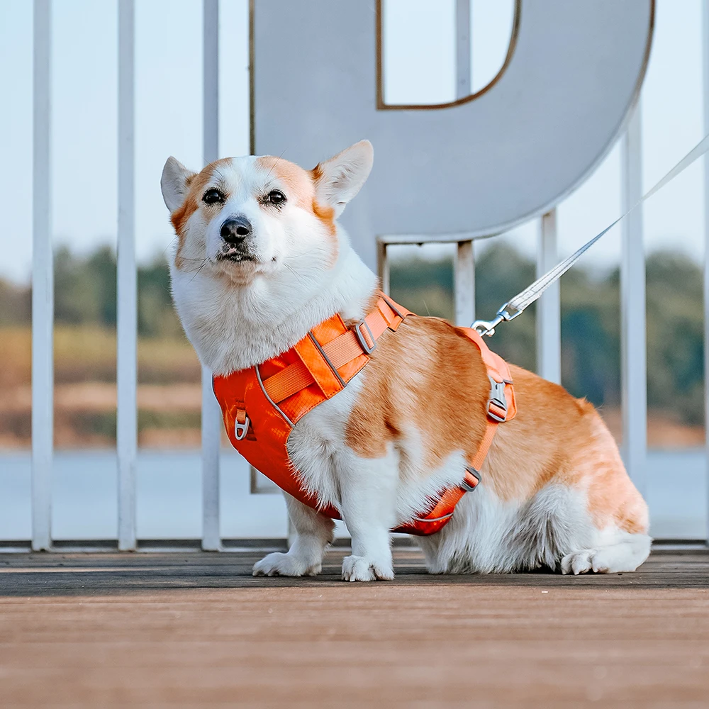Harnesses Vest Pet Reflective Nylon Walking Running - PeticaDeals