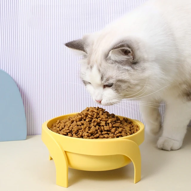 2Pcs Pet Feeder Bowl Dog Cat Bowls Water Food Feeding Bowl for Puppies Kittens Cats Dogs Pet Feeders 3