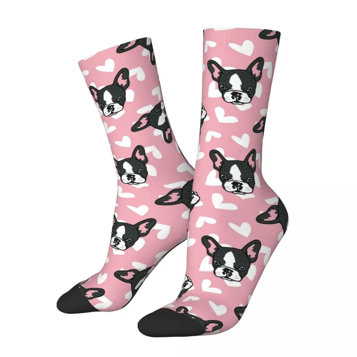 French Bulldog Adult Socks Unisex Socks Men Socks Women Socks royal canin adult french bulldog сухой корм для взрослых собак породы французский бульдог 3 кг