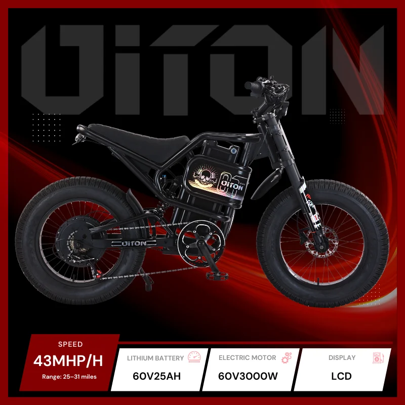 Diton S-300 60V 3000W Electric Bike | 25Ah Remote Battery | Powerful Motor, Off-Road Electric Bike for Outdoor Lovers