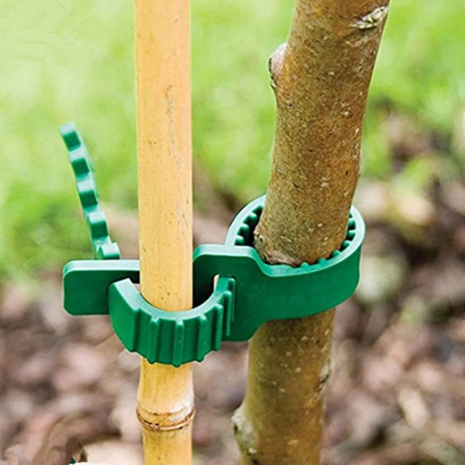 Tree Ties Support Tree Stake Support Bands Heavy Duty Adjustable Interlock Vine Fixing Buckle 10Pcs Reusable Plant Ties 24cm In 3