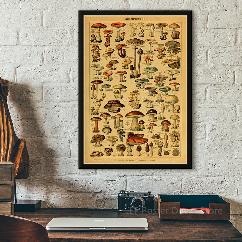 Wall Art Print Botanical Art Prints Mushroom Retro Poster Animal/Flower/Plant/Leaf/Butterfly Study Painting Vintage Study Room Home Wall Decor