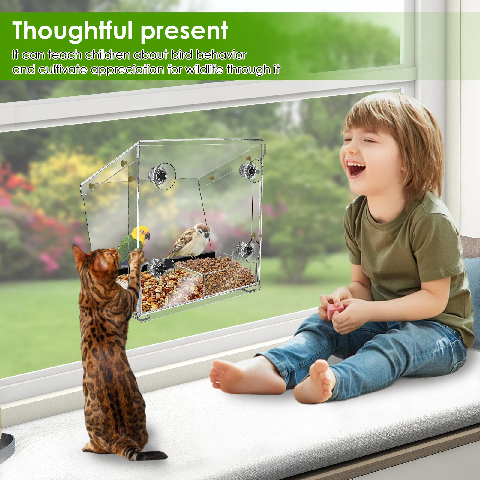 Acrylic Bird Feeder Window Bird Feeder with Suction Cups Clear Feeding House for Garden Outdoor Backyard Wildlife Birding