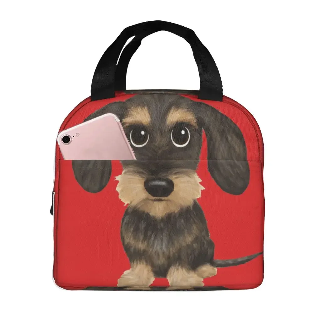 wirehaired-dachshund-lunch-bag-leakproof-thermal-bento-box-tote
