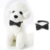 Adjustable Breakaway cat Collar with Bell kitten Cat Collars Cat Accessories Pet Supplies Puppy Bow Tie for Small Dogs 4