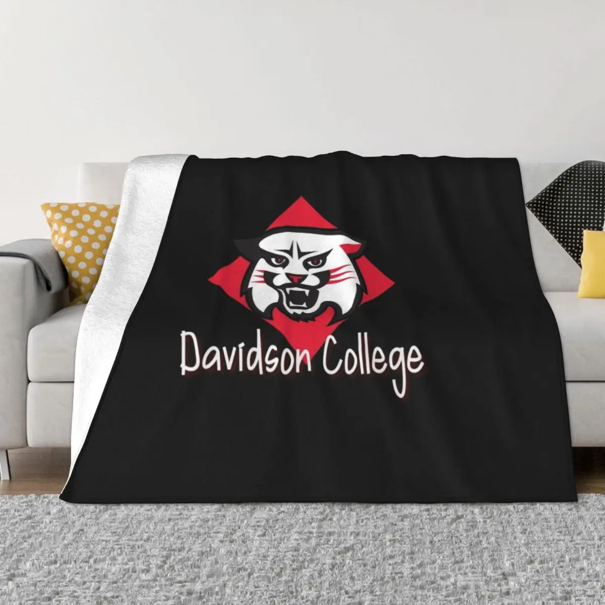 

Davidson Студенческое Одеяло, пляжное одеяло, мягкое искусственное одеяло