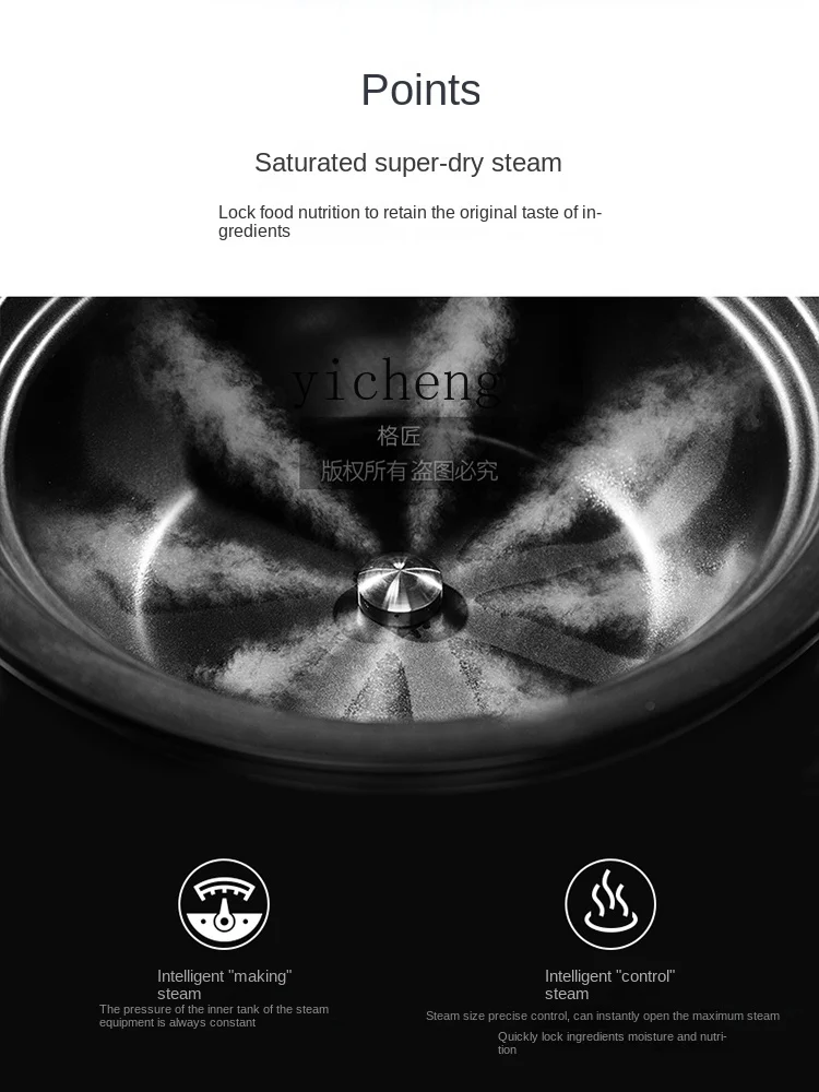 Tqh Seafood Steam Pot Steamer Electric Steamer Multi-Functional Hot Pot Sauna Steamed and Boiled