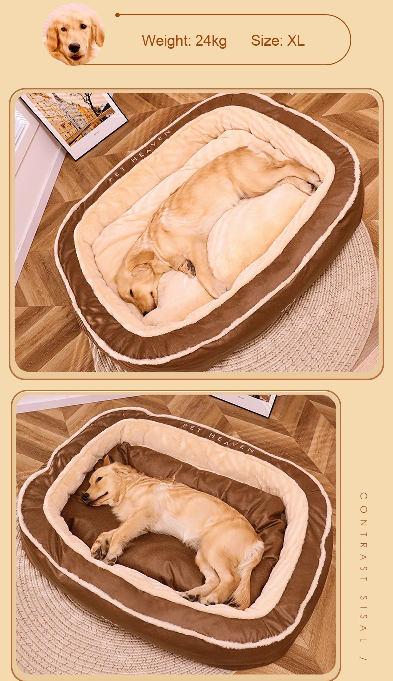 S50496668bc7645839c02d4a6d25f8f9fy