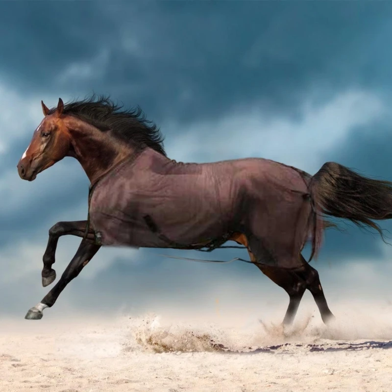Horse Fly Sheet, Adjustable Fly Sheet for Horse Sun Protection Breathable Mesh Blanket Sheet with