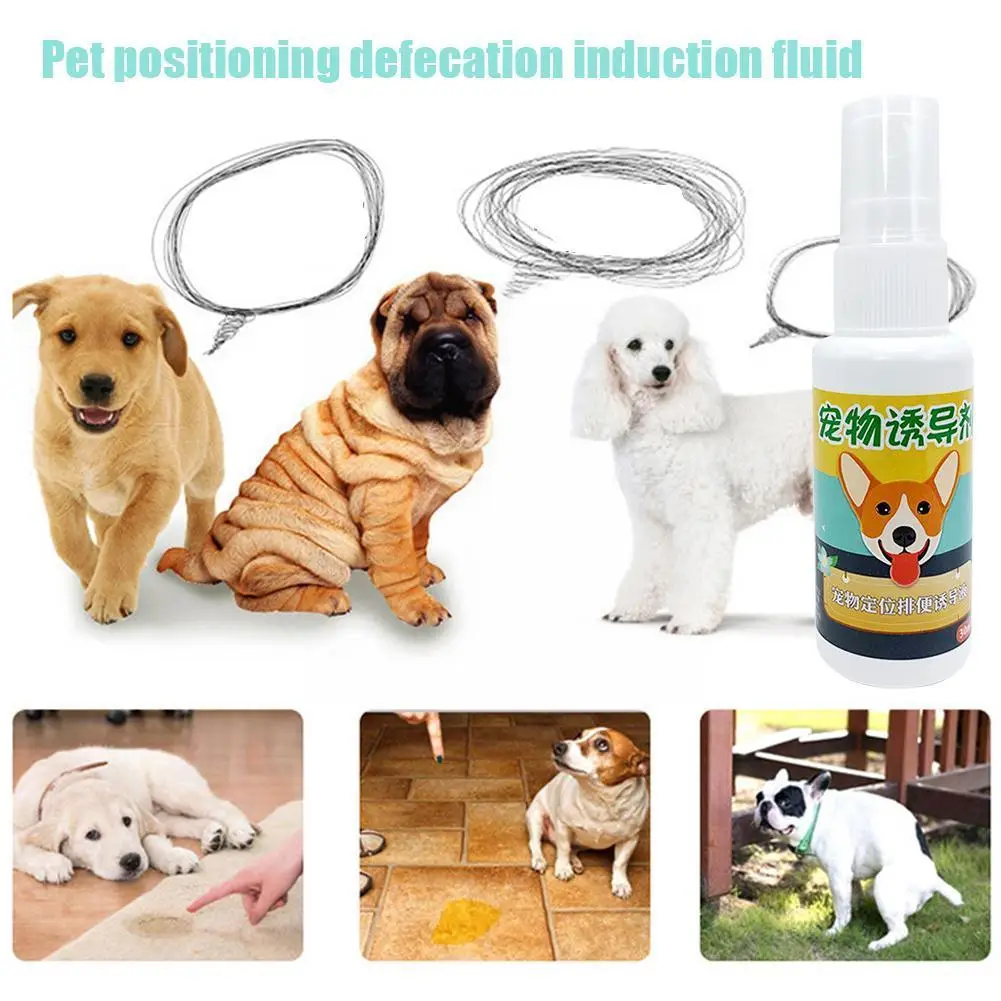 Inductor de pulverización para s y mascotas, accesorios para s, almohadilla para cachorros, inodoro de entrenamiento para cachorros, suministros para mascotas C1g3, 30ml - Imagen 3