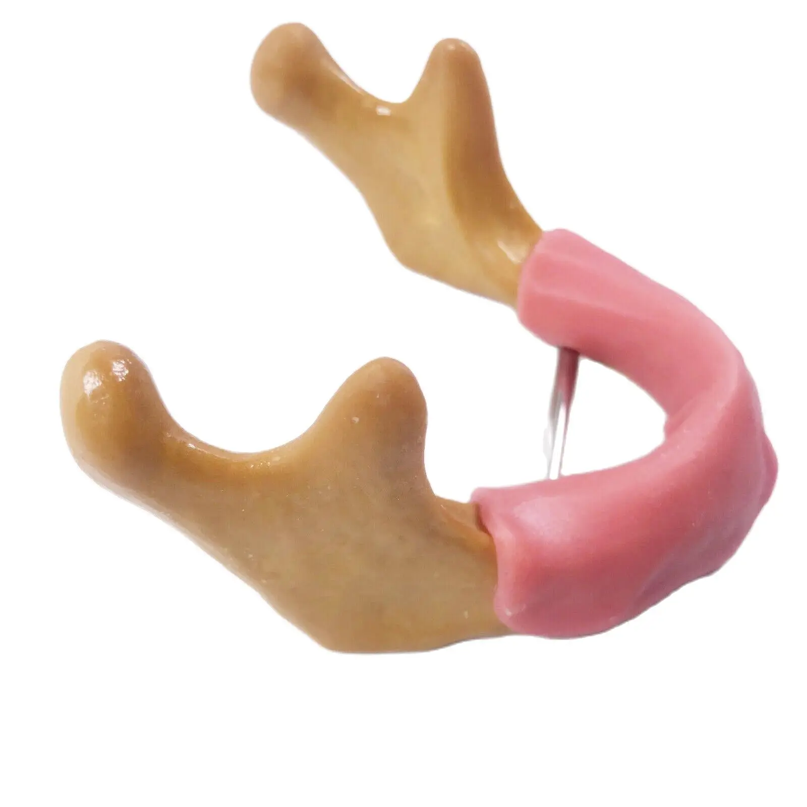 

Dental Low Jaw Gum Gingiva Model Implant Dentist Student Practise Test