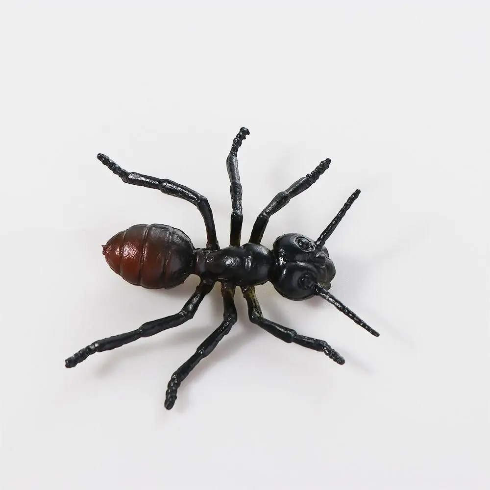 Model Toys Beetle PVC Fake Insect Spider Figures Simulation Insect Model Animal Toys Realistic Figurine