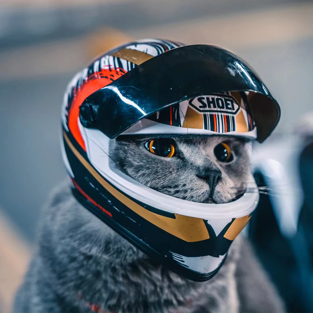 Petits casques de moto pour animaux de compagnie, casque intégral, protection de la tête en