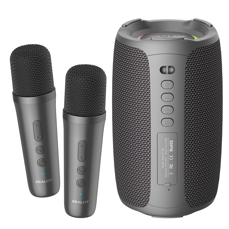 2 microphone
