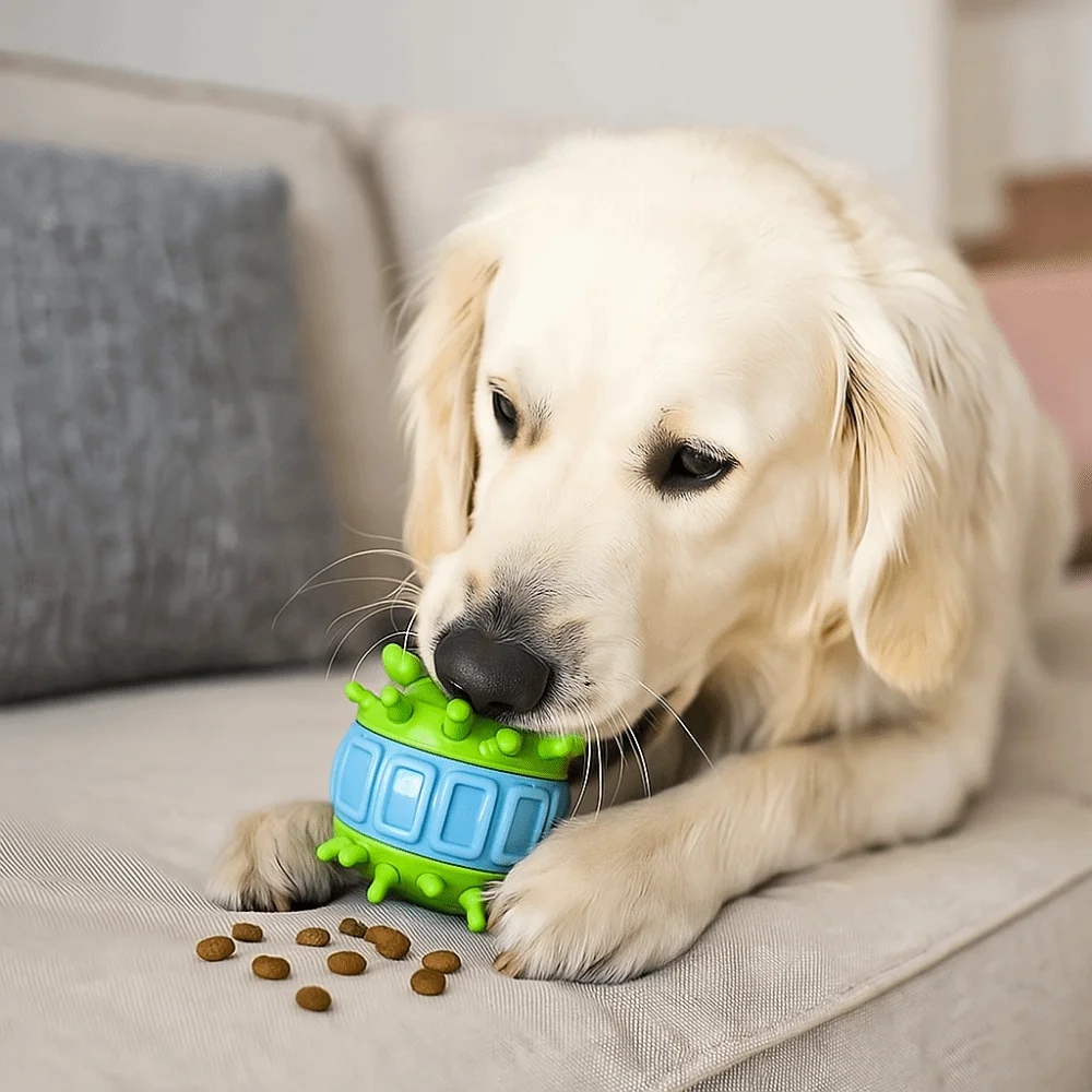 4 Pcs/set Pet Supplies Bite Resistant Interactive Dog Wear Resistant TPR Teeth Cleaning Colorful Pet Leakage Ball Solo Play