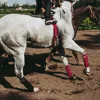 Horse Leg Anti Collision Straps Outdoor Equestrian Protective Gear Horse Leg Injury Protection Sleeve 6