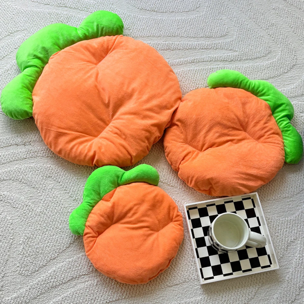 Carrot Pet Mat 4