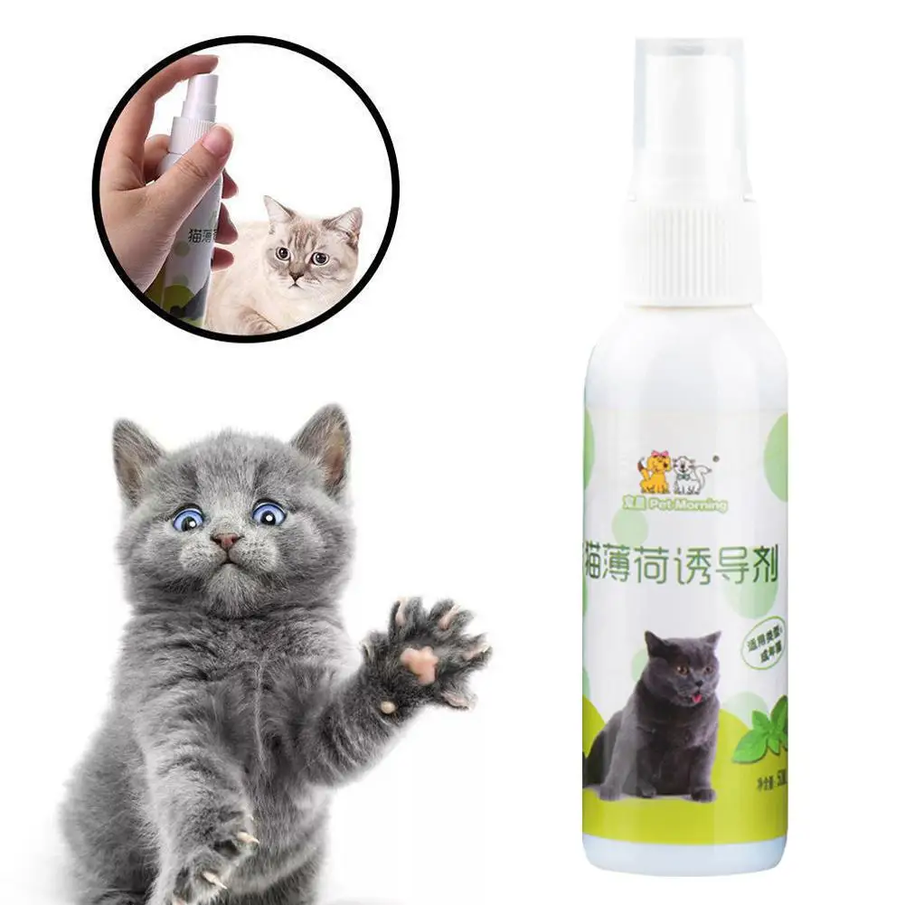 Cat Catnip Spray 50ml Cat Catnip Spray Natural Healthy Safe Long-term Effect Soothe Mood Scratching Pad Inducer Pet Training Spray Pet Supplies