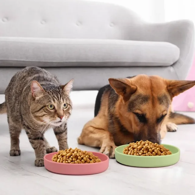 Silicone Pet Dog Feeding Bowl Outgoing Dog Accessories Drinking Water Silicone Cat Bowl Dog Bowl Pet Supplies 6